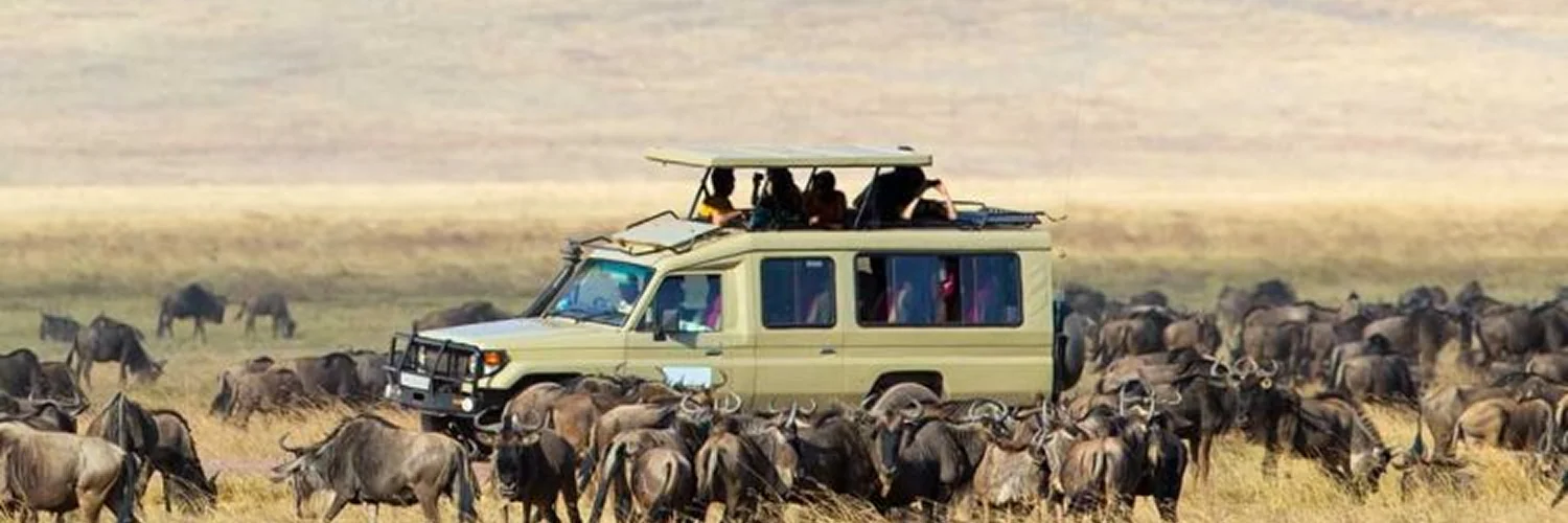 Serengeti-National-Park-2-750x450 1.webp